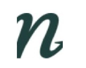 Next-Level-Mental-Health-Counseling-logo