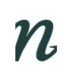 Next-Level-Mental-Health-Counseling-logo